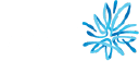 AMP Limited logo