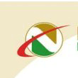 Nex Metals Explorations Limited logo